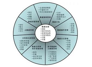 大數據治理的五個核心要素