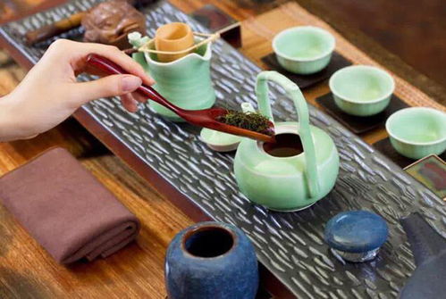 官方點名炒茶，天價茶屢見不鮮，上萬元一斤的茶真不是智商稅？